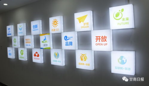 合作市電子商務公共服務中心正式啟動，賦能電商運營管理服務新篇章